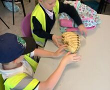 IMG 8864